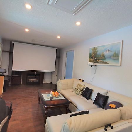 Cozy And Quiet House With Swimming Pool Apartment Toronto Exterior photo